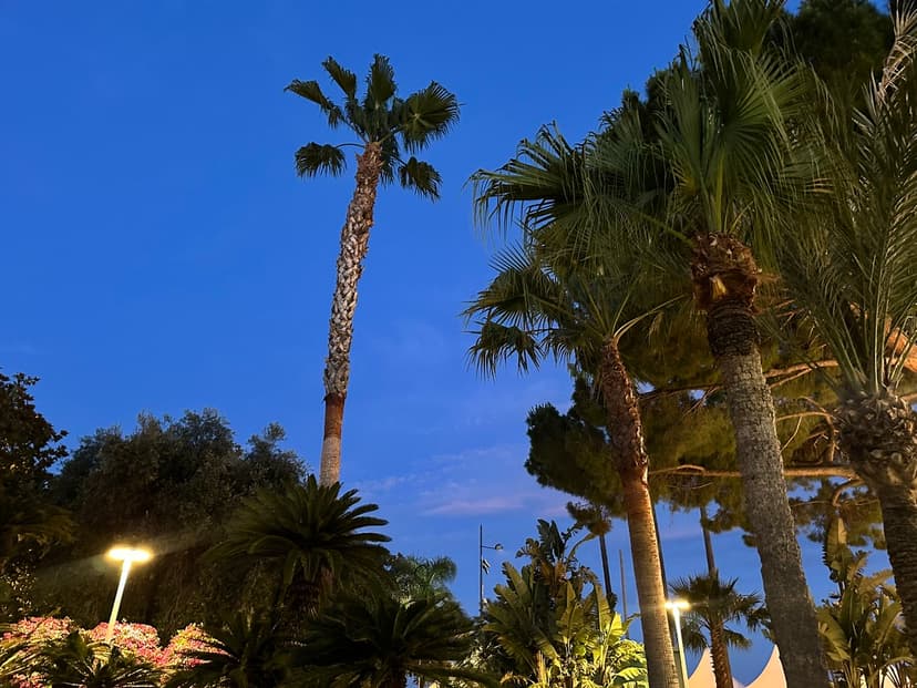 Blick auf den alten Hafen (Vieux Port) von Le Suquet aus