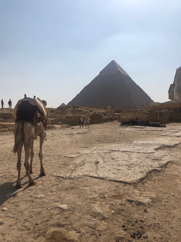 Die weltberühmten Pyramiden von Gizeh im Wüstensand
