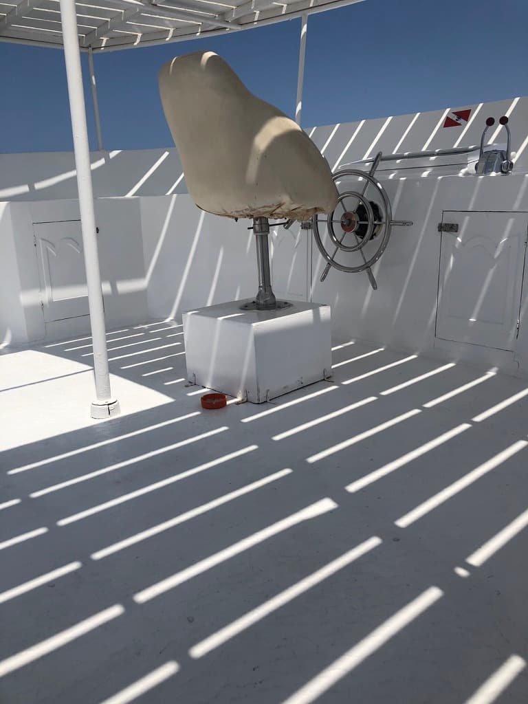 Eine majestätische Seekuh (Dugong) im kristallklaren Wasser von Abu Dabbab