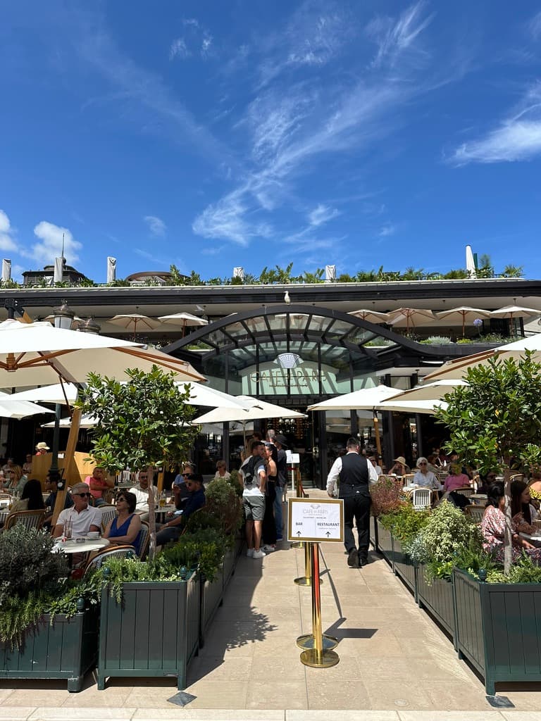 Der Fürstenpalast auf dem Felsen mit Blick über den Hafen