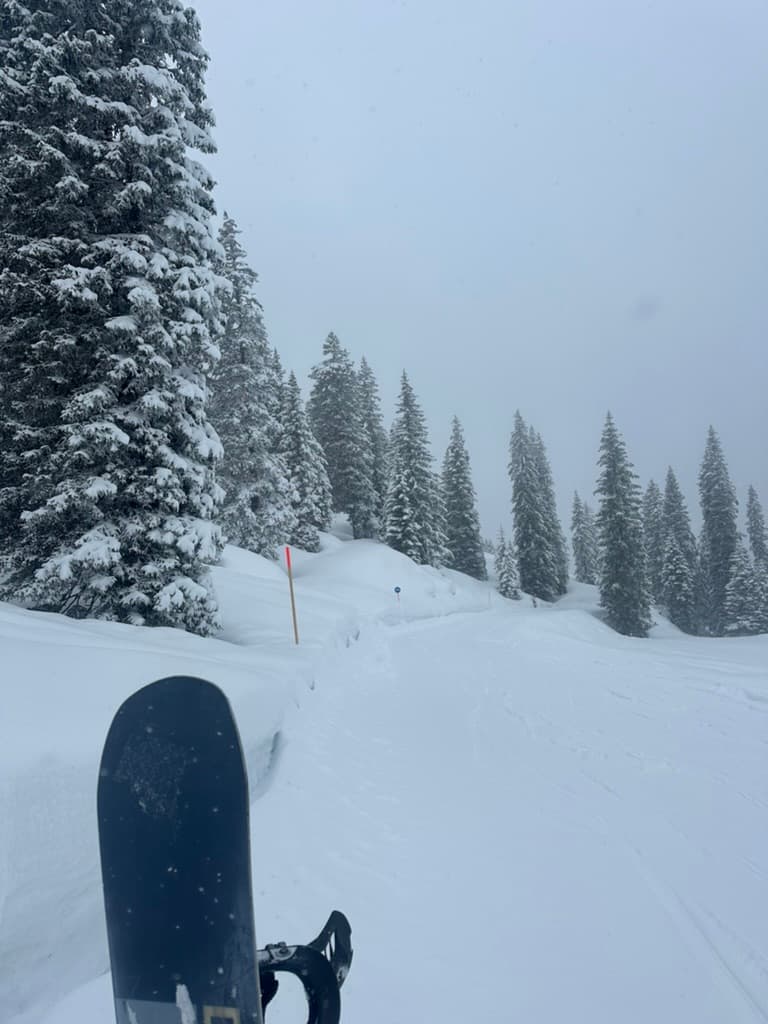 Gemütliche Berghütte mit Panoramablick