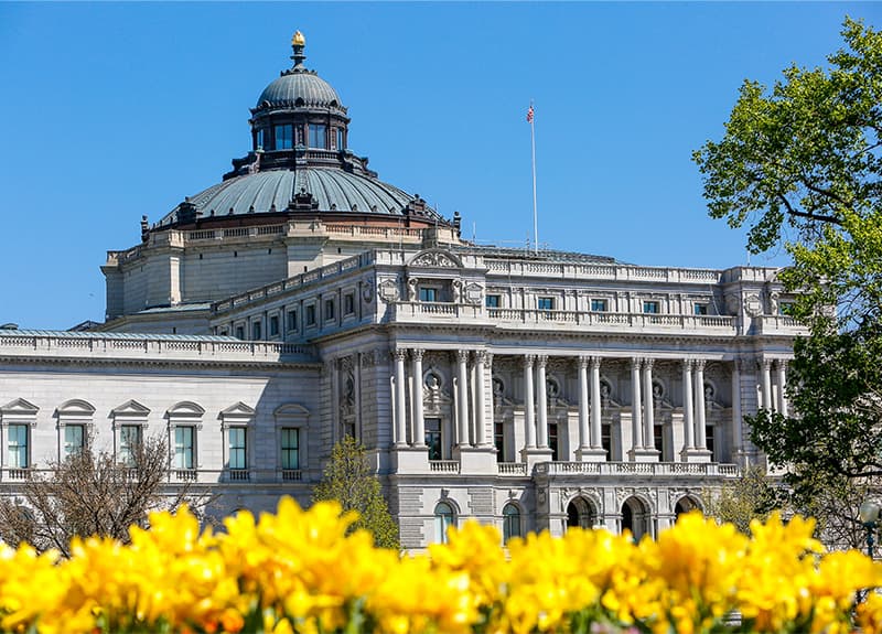 The Library Turns 225!