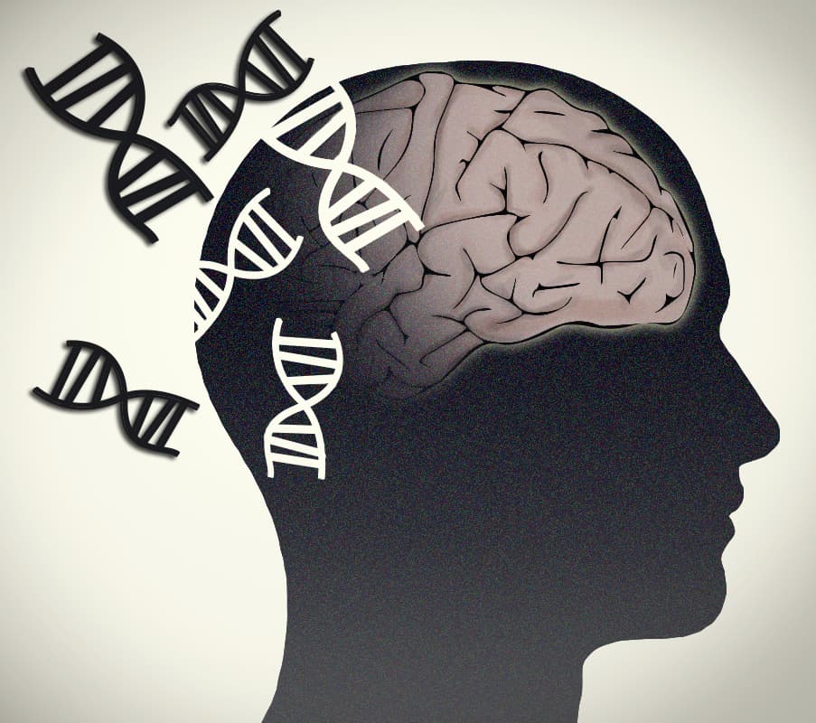 Study Identifies 7 Genes Associated with Brain Aging and 13 Drugs that May Help Extend the Healthspan