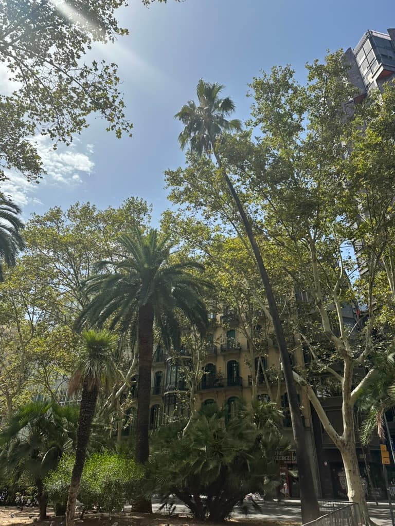 Unter Barcelonas Sonne: Konzertnächte und Gaudi-Wunder