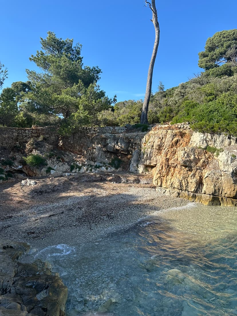 Blick auf die Île Saint-Honorat mit ihrer befestigten Klosteranlage