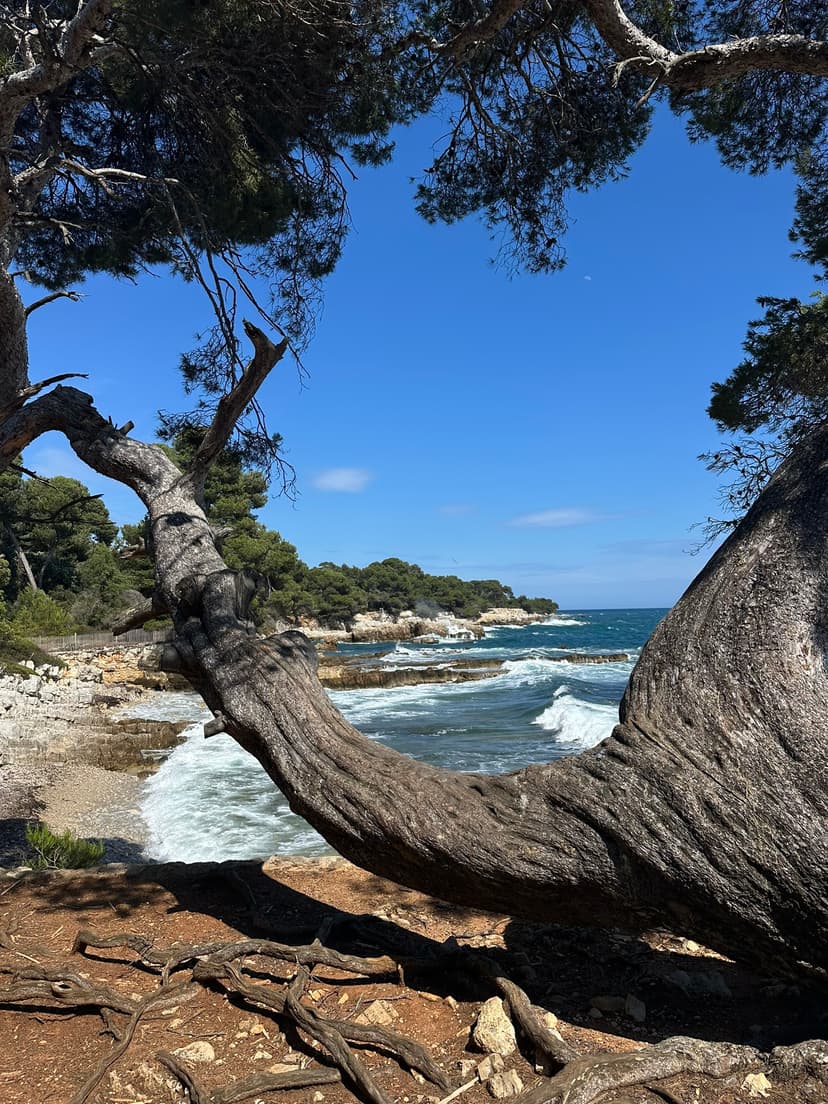 Das geschichtsträchtige Fort Royal auf Île Sainte-Marguerite