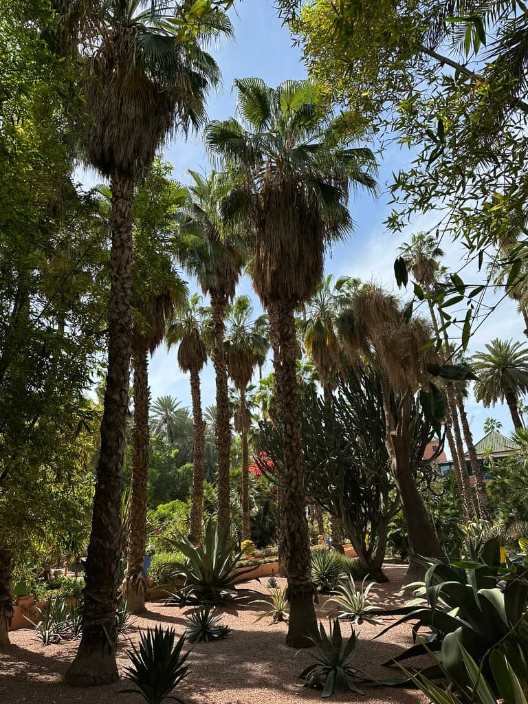 Der Jardin Majorelle mit seinen charakteristischen blauen Akzenten