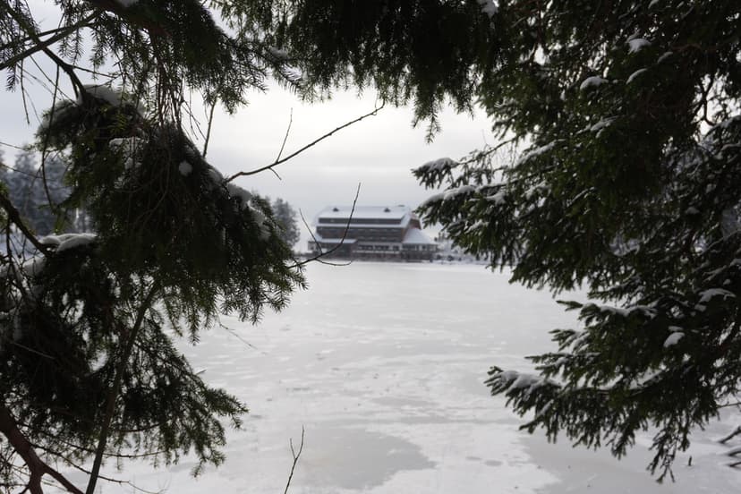Der ruhige Mummelsee spiegelt die umliegenden Tannenwälder wider