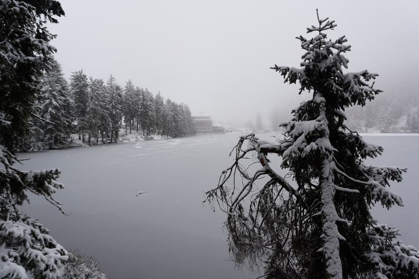 Blick von der Hornisgrinde auf den Mummelsee und den Schwarzwald