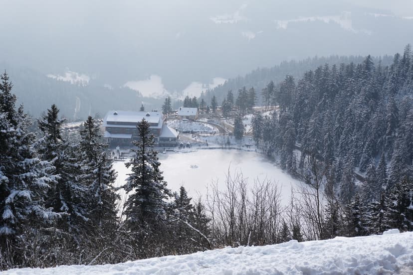 Ein Wanderpfad führt durch den Wald mit Blick auf den sagenumwobenen See