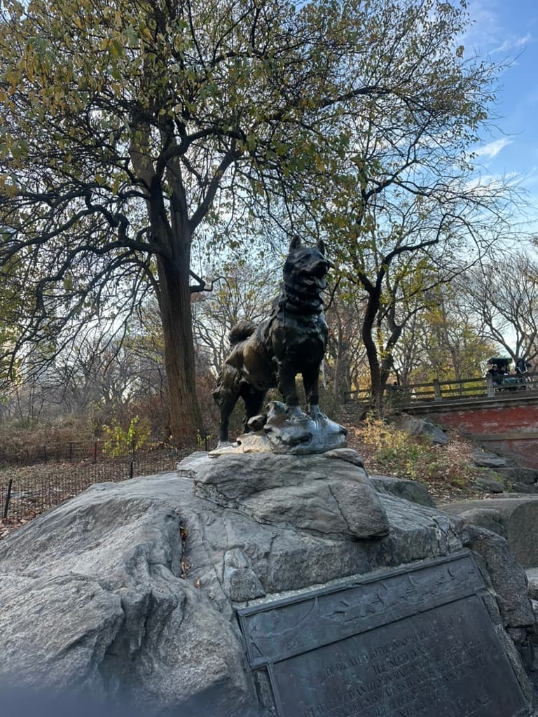 NYC - Ein Trip voller Kontraste: NFL, Skyline-Flüge & Bananenpudding