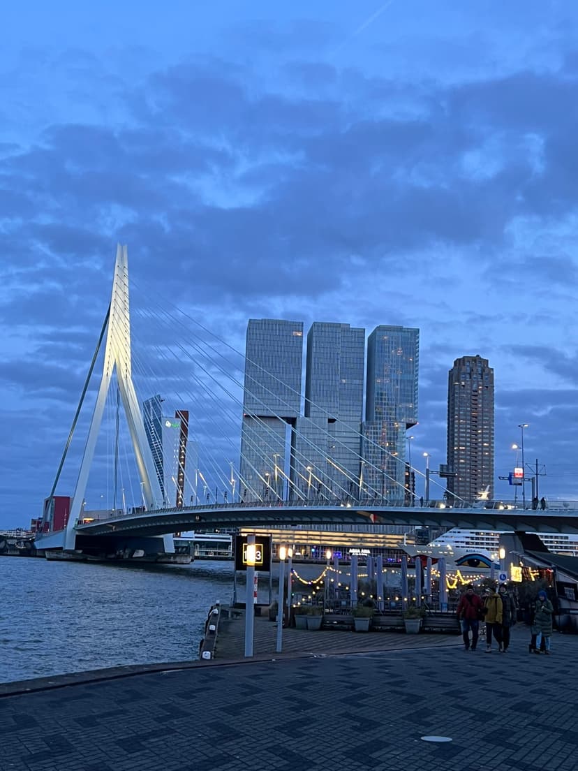 Die ungewöhnlichen Kubushäuser sind ein Wahrzeichen Rotterdams