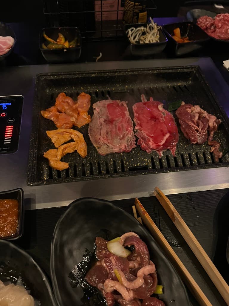 Die elegante Erasmusbrücke überspannt die Nieuwe Maas